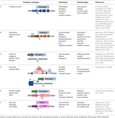 Corrigendum: Targeted Gene Delivery: Where to Land